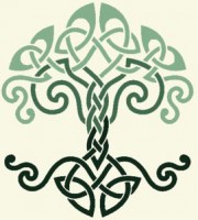 /album/lammert-begeman/tree-of-life-green2-2-edited-1-jpg/