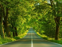/album/lammert-begeman/nature-wallpaper-13-jpg/