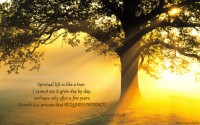 /album/lammert-begeman/spiritual-life-is-like-a-tree-jpg/